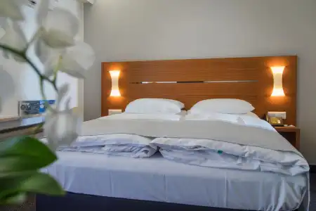 La Palma au Lac - 46