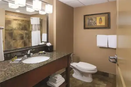 Wyndham Bloomington - Mall of America - 81