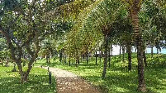 Phan Thiet Ocean Dunes Resort - 47
