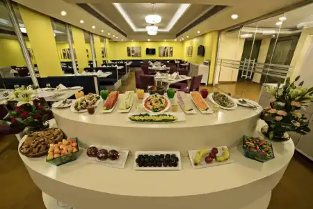 Sarovar Portico Naraina Delhi - 1