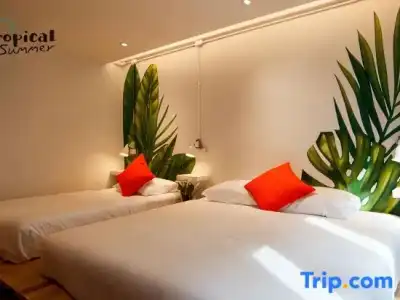 Tropical Summer Hostel - 49