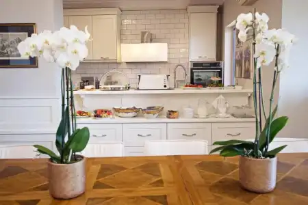 Agnantia Bed & Breakfast - 15