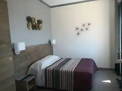 Hôtel Le Dauphin Bleu - 48
