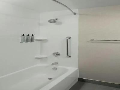 Courtyard Williamsburg Busch Gardens Area - 52