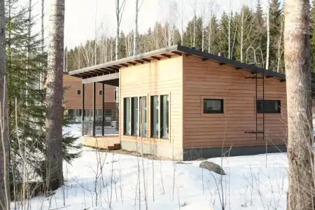 Wooddream - 47