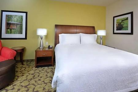 Hilton Garden Inn Greensboro Airport - 122