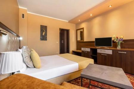 Business Plovdiv - Central Location - 40