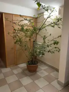 Inn on Zhytomyrska - 11