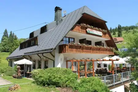 Höhengasthof Grüner Baum - 60