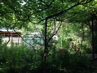 Guest House Besarioni - 13