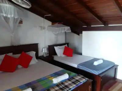 Comfort Inn- Galle Fort - 69