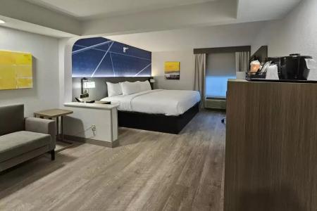 Comfort Inn & Suites Saint Louis Lafayette Square - 4