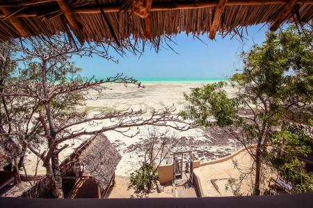 Coral Rocks & Restaurant - 21