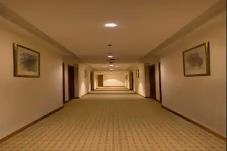 Swiss-Belinn - 43