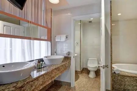 The Cincinnatian Curio Collection by Hilton - 9