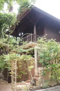 Rabbit Resort Pattaya - 25