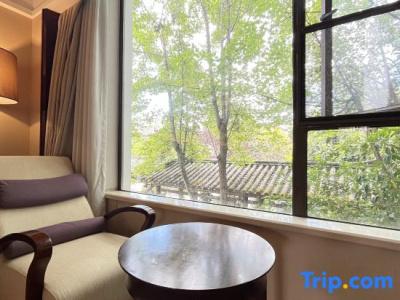Conifer Lishui Sunlight - 18