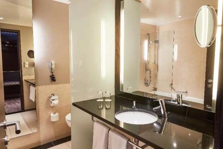 Steigenberger de Saxe Dresden - 58