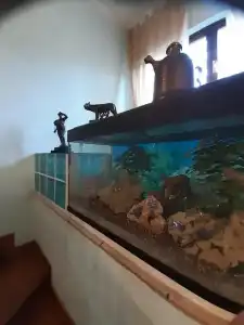 B&B Villa Giovanni - 18