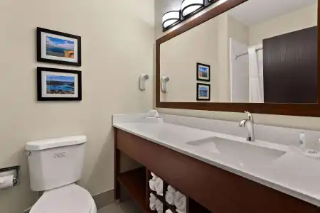 Comfort Suites University Las Cruces - 9