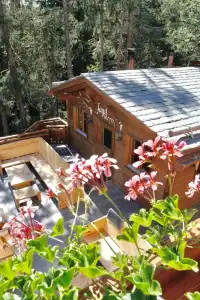 Val Saraina Resort Apartments Lenzerheide - 93