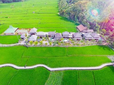 Villa JJ and Spa Ubud - 23