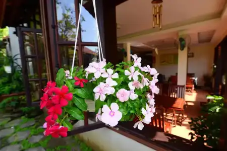 Windbell Villa - 49