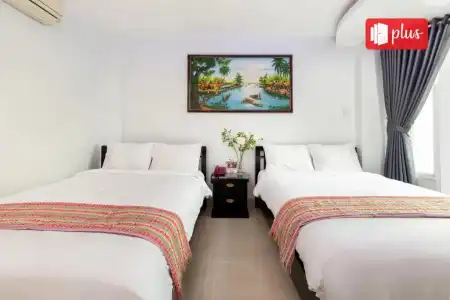 Saigon Pink - 12