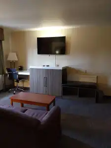 Lavissh Inn and Suites - 37