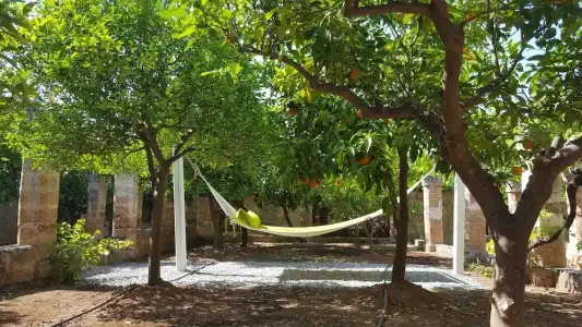 Masseria Borgo San Marco - 87