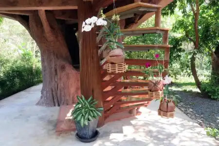 Macura Resort - 166