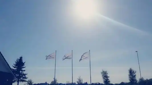 Brynel - 7