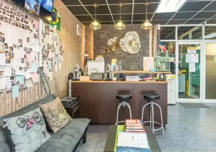 Tiger Lily Hostel - 9