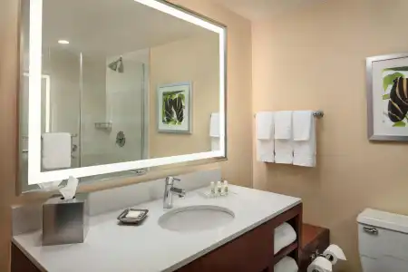 Holiday Inn AUSTIN-TOWN LAKE by IHG - 7