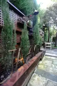 Boutique Pinar by Bossh!s - 30