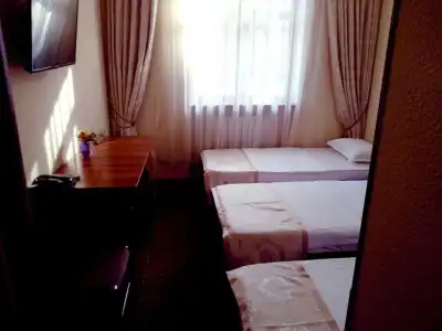 Grand Zamin - 9