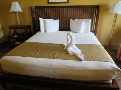 B&B Orlando International Drive Near Universal - Newly Renovated! - 68