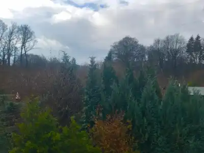 Wald"Peter Aufm Berge" - 21