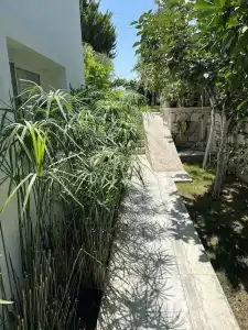 Lupa Alacati - 110