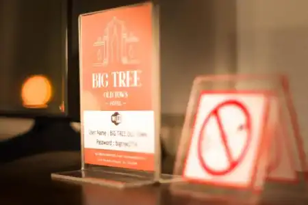 Big Tree Old Town - 48