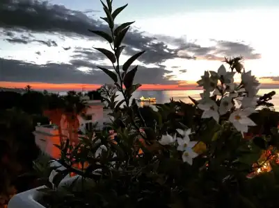 Villa Margherita - 13