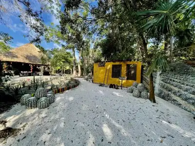 Tequila Cancun - 15