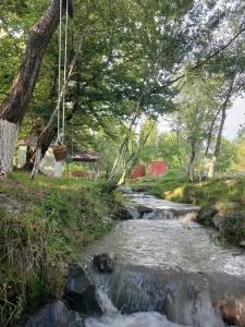Gabala Garden - 6