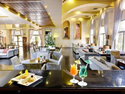 Olive Tree - 18