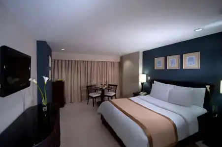Centro Plaza Hodelpa - 69