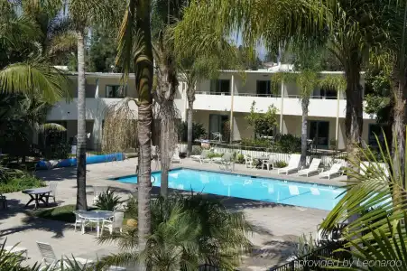 Lemon Tree Inn - 8