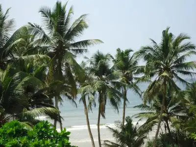 Casa Samaya, Boutique Beachfront in Weligama - 18