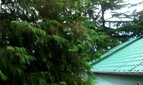 Guesthouse Next to Beach - 69