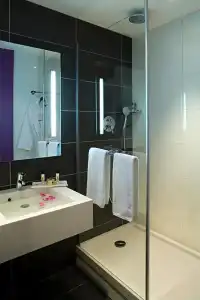 Mercure Grenoble Centre Porte des Alpes - 63