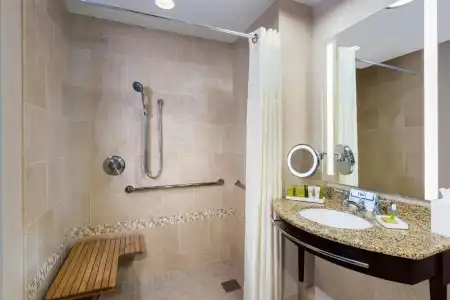 Hilton Americas - - 65